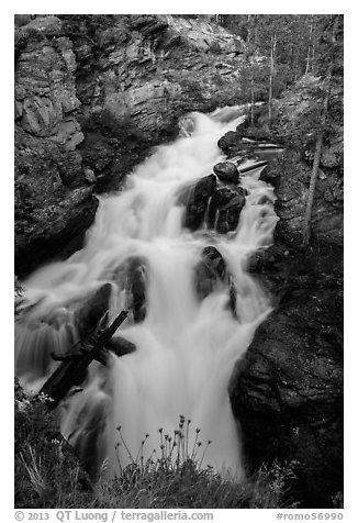 Adams Falls. Rocky Mountain National Park (black and white)