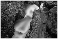 Creek in narrow gorge below Adams Falls. Rocky Mountain National Park, Colorado, USA. (black and white)