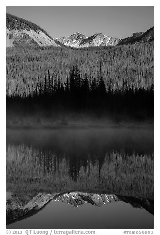 Never Summer Mountains reflected in beaver pond. Rocky Mountain National Park, Colorado, USA.