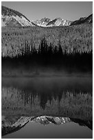 Never Summer Mountains reflected in beaver pond. Rocky Mountain National Park, Colorado, USA. (black and white)