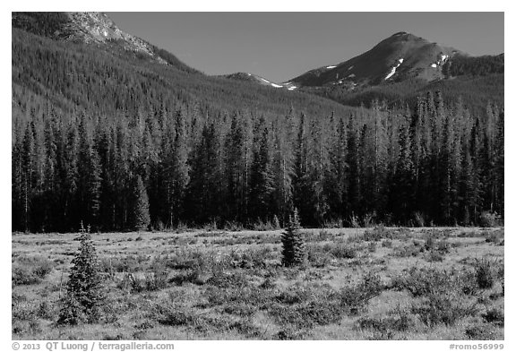 Meadow in Kawuneeche Valley. Rocky Mountain National Park (black and white)