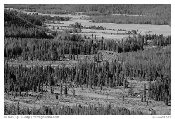 Kawuneeche Valley and Colorado River from above. Rocky Mountain National Park (black and white)