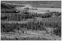 Kawuneeche Valley and Colorado River from above. Rocky Mountain National Park, Colorado, USA. (black and white)