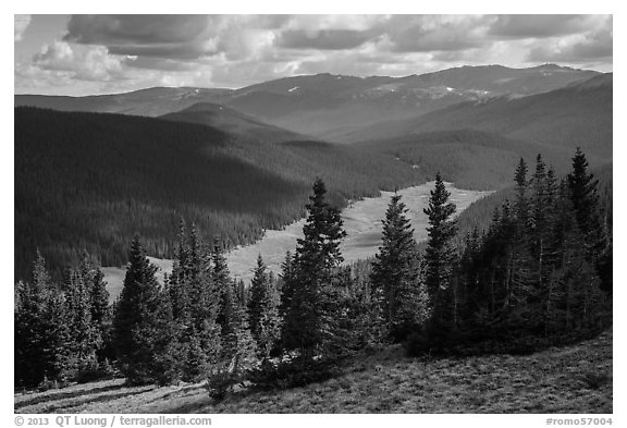 Cache la Poudre River Valley. Rocky Mountain National Park (black and white)