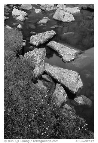 Alpine meadow and lake with boulders. Rocky Mountain National Park, Colorado, USA.