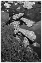 Alpine meadow and lake with boulders. Rocky Mountain National Park ( black and white)