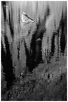 Reflections and rocks, Chasm Lake. Rocky Mountain National Park ( black and white)