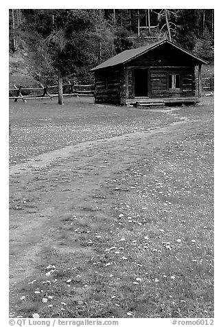 Meadow with flowers and historic cabin, Never Summer Ranch. Rocky Mountain National Park, Colorado, USA.