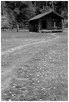 Meadow with flowers and historic cabin, Never Summer Ranch. Rocky Mountain National Park, Colorado, USA. (black and white)