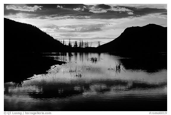 Sunrise on a pond in Horseshoe Park. Rocky Mountain National Park (black and white)