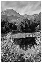 Copeland Lake in autumn. Rocky Mountain National Park ( black and white)