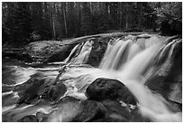 Lower Copeland Falls, Wild Basin. Rocky Mountain National Park ( black and white)