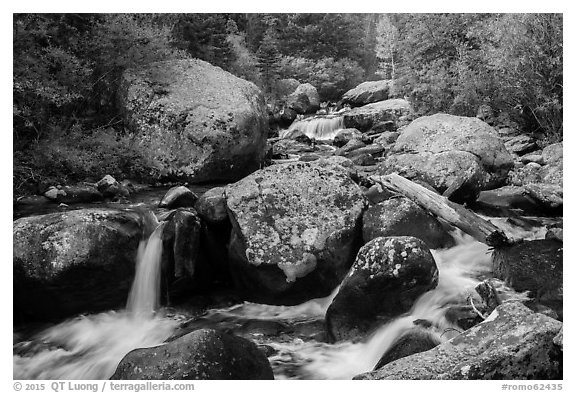 Upper Copeland Falls, Wild Basin. Rocky Mountain National Park (black and white)