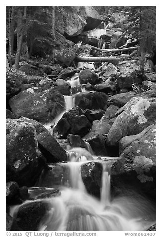 Calypo Cascades, Wild Basin. Rocky Mountain National Park (black and white)