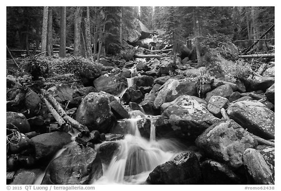 Stream flowing over boulders at Calypo Cascades. Rocky Mountain National Park (black and white)