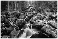Stream flowing over boulders at Calypo Cascades. Rocky Mountain National Park ( black and white)