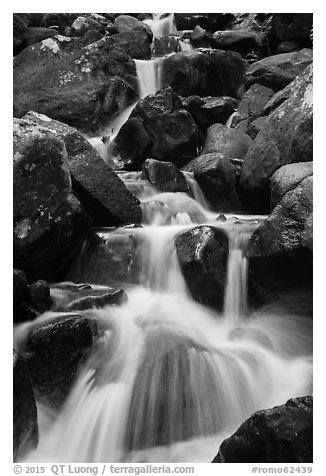 Calypso Cascades detail. Rocky Mountain National Park (black and white)