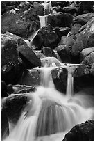 Calypso Cascades detail. Rocky Mountain National Park ( black and white)