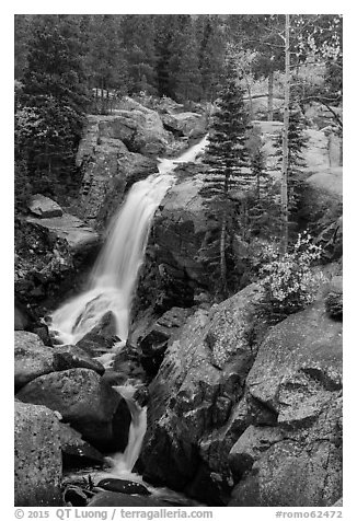 Alberta Falls in autumn. Rocky Mountain National Park (black and white)