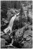 Alberta Falls in autumn. Rocky Mountain National Park ( black and white)