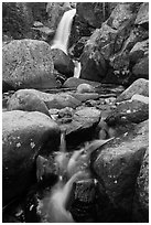 Cascade and Alberta Falls. Rocky Mountain National Park ( black and white)