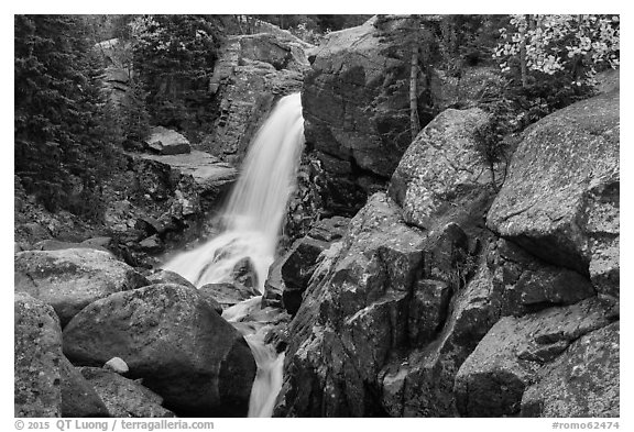 Alberta Falls and cascade in autumn. Rocky Mountain National Park (black and white)