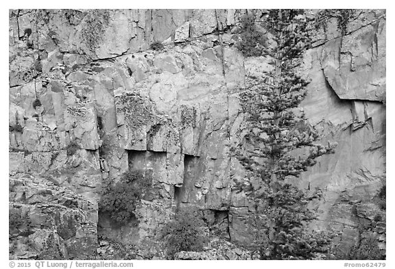 Walls of gorge. Rocky Mountain National Park (black and white)