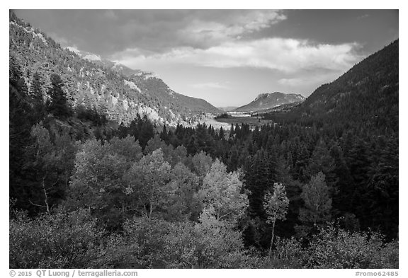Old Fall River valley in autumn. Rocky Mountain National Park (black and white)