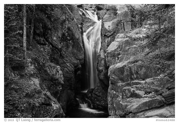 Chasm Falls flowing in narrow gorge. Rocky Mountain National Park (black and white)