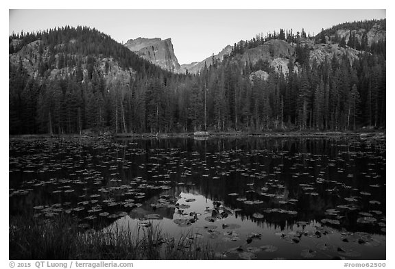 Hallet Peak above Nymph Lake at sunrise. Rocky Mountain National Park (black and white)
