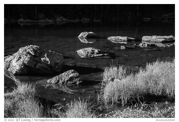 Grasses and boulders, Dream Lake. Rocky Mountain National Park (black and white)