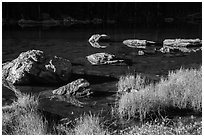 Grasses and boulders, Dream Lake. Rocky Mountain National Park ( black and white)