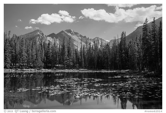 Longs Peak reflected in Nymph Lake. Rocky Mountain National Park (black and white)