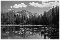 Longs Peak reflected in Nymph Lake. Rocky Mountain National Park ( black and white)