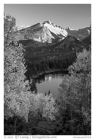Longs Peaks, Bear Lake, yellow and orange aspens. Rocky Mountain National Park (black and white)