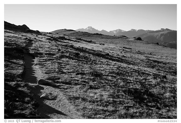 Ute Trail crossing alpine tundra. Rocky Mountain National Park (black and white)