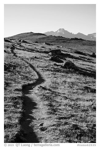 Ute Trail. Rocky Mountain National Park (black and white)