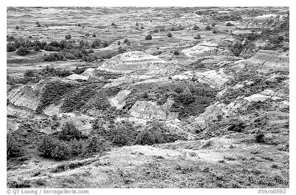 Badlands from Boicourt overlook. Theodore Roosevelt National Park (black and white)