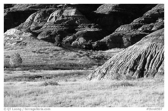 Badlands and prairie in North unit. Theodore Roosevelt National Park (black and white)