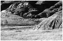 Badlands and prairie in North unit. Theodore Roosevelt National Park ( black and white)