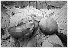 Large cannon ball concretions and badlands. Theodore Roosevelt National Park, North Dakota, USA. (black and white)