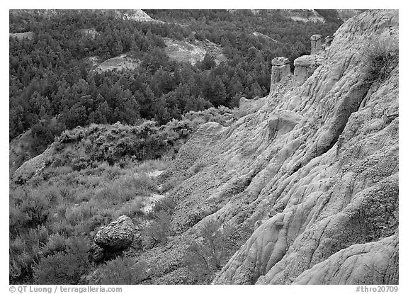 Badlands with Caprock chimneys, North Unit. Theodore Roosevelt  National Park (black and white)