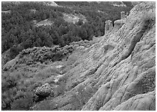 Badlands with Caprock chimneys, North Unit. Theodore Roosevelt  National Park ( black and white)