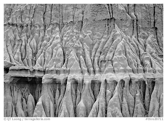 Erosion formations. Theodore Roosevelt National Park (black and white)