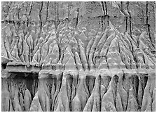 Erosion formations. Theodore Roosevelt  National Park ( black and white)