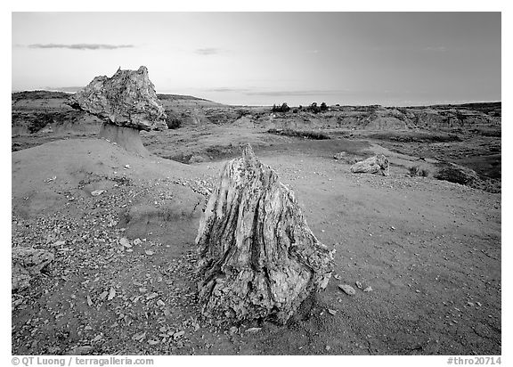 Pedestal petrified log and petrified stump sunset,. Theodore Roosevelt National Park (black and white)