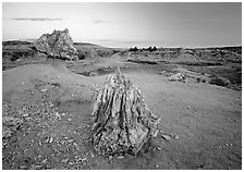 Pedestal petrified log and petrified stump sunset,. Theodore Roosevelt  National Park ( black and white)