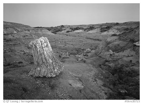 Petrified log stump at dusk, South Unit. Theodore Roosevelt National Park, North Dakota, USA.