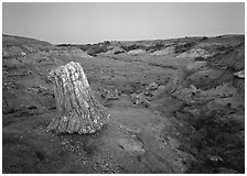 Petrified log stump at dusk, South Unit. Theodore Roosevelt National Park, North Dakota, USA. (black and white)