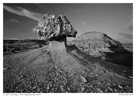 Pedestal petrified log and badlands, late afternoon. Theodore Roosevelt National Park, North Dakota, USA.